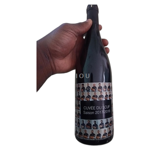 Loire-dalen Chinon Domaine Naulet du SCUF 2015