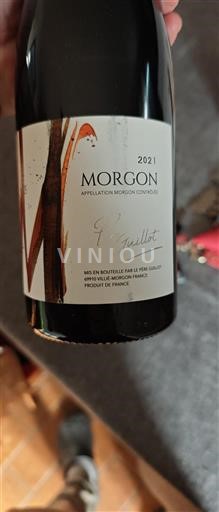 Vin Rouge sec Père Guillot 2021 France Beaujolais Morgon AOC