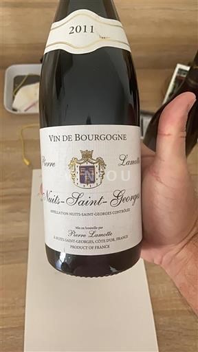 Burgundija Nuits-Saint-Georges Pierre Lamotte 2011