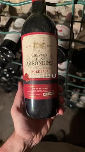 Bordeaux Chevaux des Girondins 2002