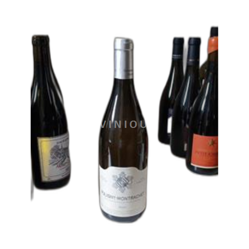 Bourgogne Puligny-montrachet Domaine Bzikot Père et Fils 2020