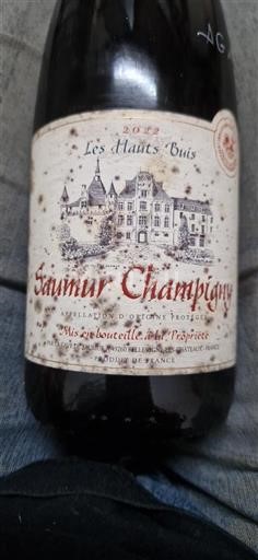Valle della Loira Saumur-Champigny Les Hauts Buis 2022