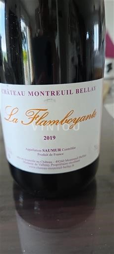 Údolí Loiry Saumur Château Montreuil Bellay La Flamboyante 2019