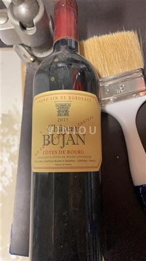 Bordeaux Côtes-de-bourg Château Bujan 2015