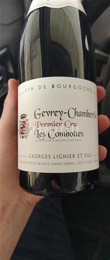 Borgogna Gevrey-Chambertin Georges Lignier et Fils Les Combottes 2018