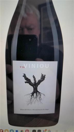 Castile and León Ribera del Duero Dominio de Pingus PSI 2019