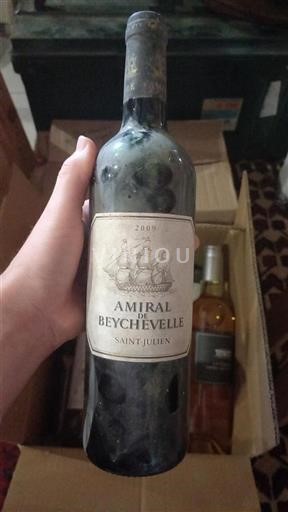 Bordeaux Saint-Julien Beychevelle Amiral 2009