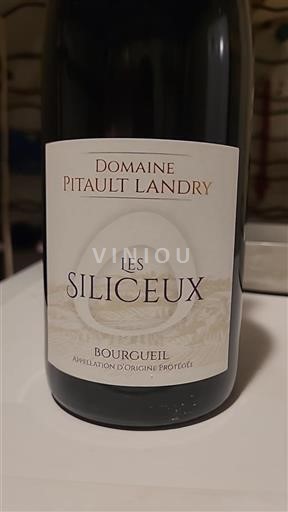 Valle del Loira Bourgueil Domaine Pitault Landry Les Siliceux 2023