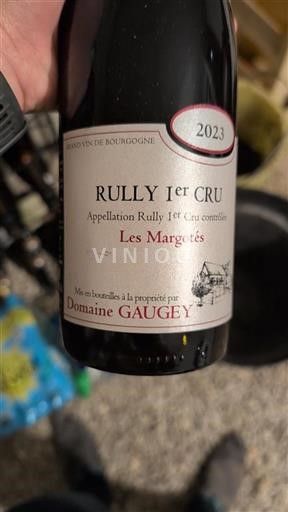 Borgogna Non specificato Domaine GAUGEY Les Margotés 2023