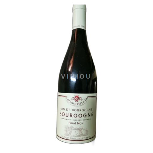 Vin Rouge sec Bouchard Père&Fils 2019 France Bourgogne
