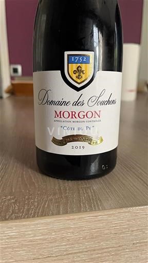 Beaujolais Morgon Domaine des Souchons Côte du Py 2019