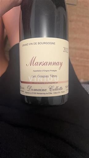 Burgundi Marsannay Domaine Collotte Les grasses têtes 2022