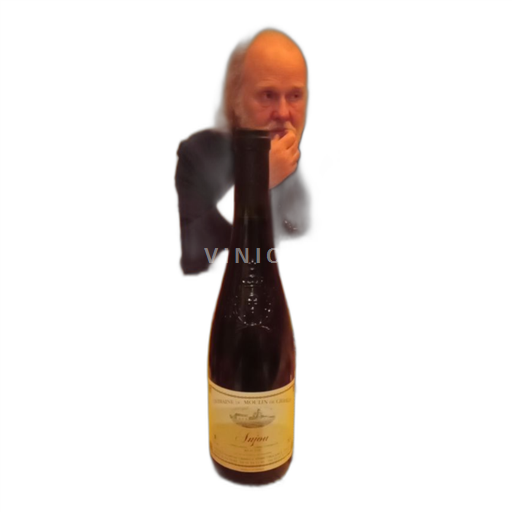 Dolina Loare Anjou Domaine du Moulin de Chasles Neleten.