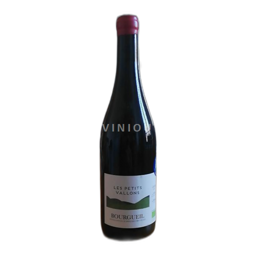 Valle del Loira Bourgueil Les Petits Vallons 2023