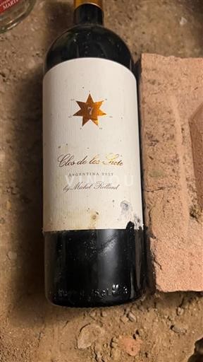 Mendoza Vale de Uco Clos de los Siete 2017
