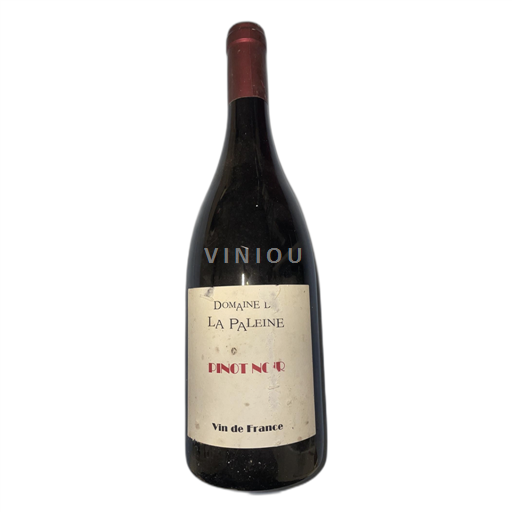 Loirevallei Domaine de la Paleine Pinot Noir 2020