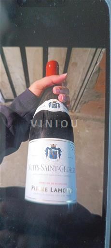 Bourgogne Nuits-Saint-Georges Pierre Lamotte 2020