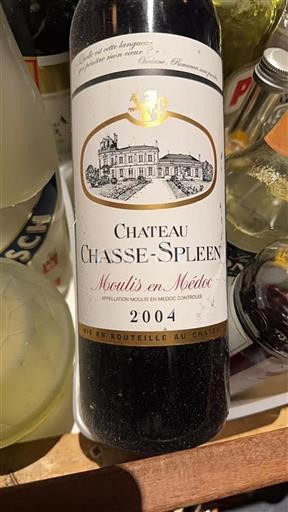 Bordeaux Moulis-en-Médoc Château Chasse-Spleen 2004