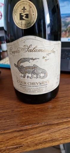Údolí Loiry Cour-cheverny Philippe Loquineau Salamandre 2006