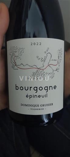 Valle della Loira Mareuil Dominique Gruhier 2022