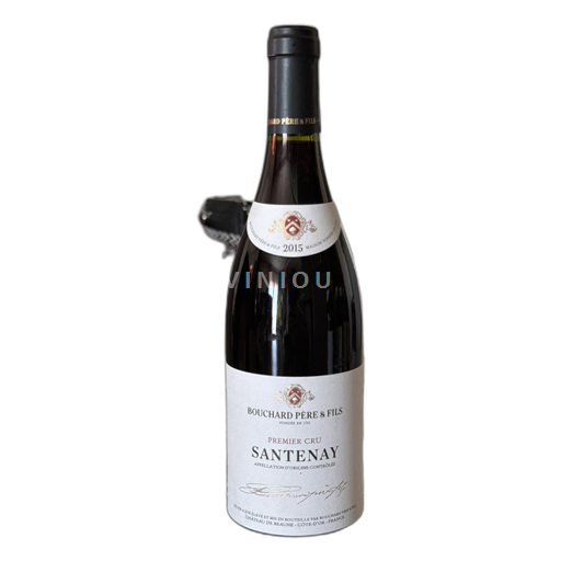 Bourgogne Santenay Domaine Bouchard Père & Fils Premier cru 2015