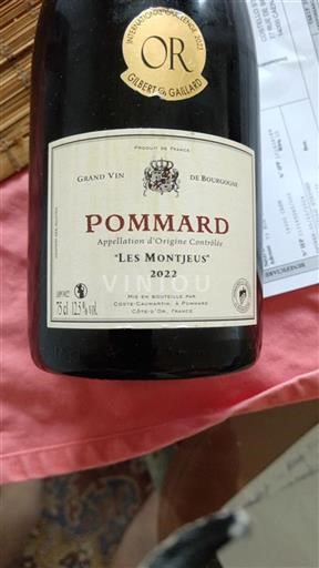 Borgogna Pommard Coste-Caumartin Les Montjeus 2022