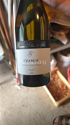 Burgundy Chablis Domaine Fillon & Fils 2023