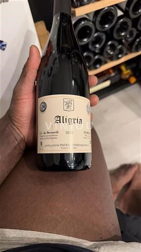 Corse Patrimonio J.L. de Bernardi Aligria 2022