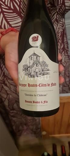 Borgogna Hautes Côtes de Nuits Domaine Bouhey & Fils Derrière le Château 2021