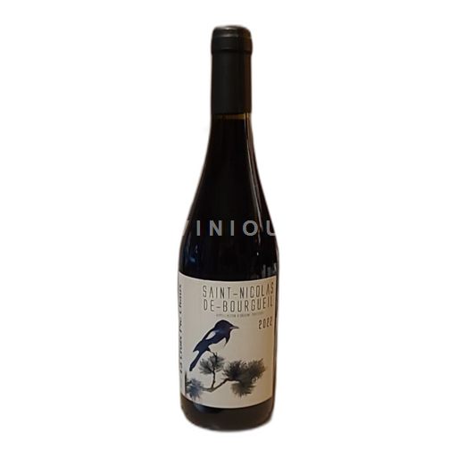 Loire Valley Saint-Nicolas-de-Bourgueil Le Croix Pic Chaux 2022