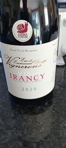 Bourgogne Irancy Eric et Emmanuel Dampt 2020
