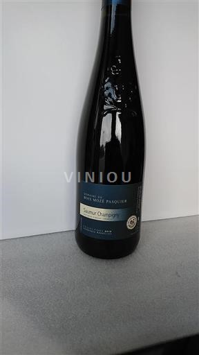 Loiren laakso Saumur-champigny Domaine du Bois Mozé Pasquier Vieilles Vignes 2019