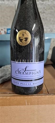 Valle della Loira Saumur-Champigny Pascal Biotteau 2023