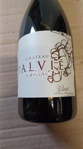 Lounais-Ranska Gaillac Château Palvié 2020