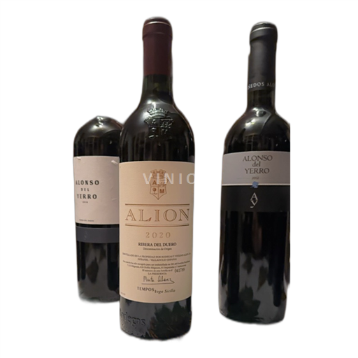 Vin Rouge sec Alion Vega Sicilia 2020 Espagne Castille et León Ribera del Duero