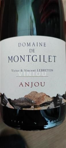 Valle della Loira Anjou Domaine de Montgilet 2018