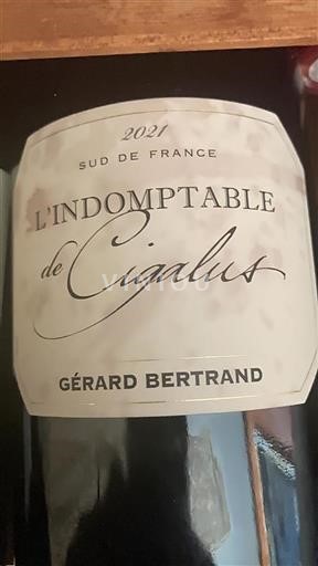 Linguadoca e Rossiglione Paese d'Oc Gérard Bertrand L'Indomptable de Cigalus 2021