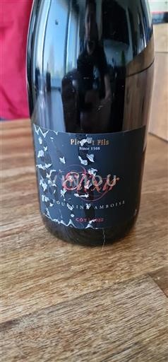 Loire Valley Touraine-Amboise Plou et Fils Elixir 2022