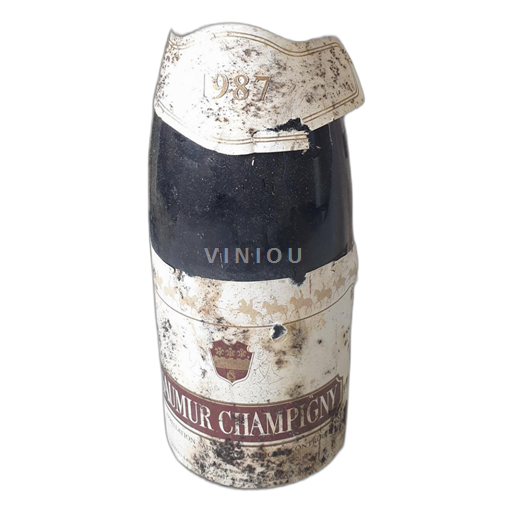Loire-dalen Saumur-Champigny Je ne sais pas 1987