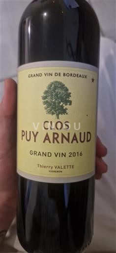 Bordeaux Ni doloceno Clos Puy Arnaud 2016