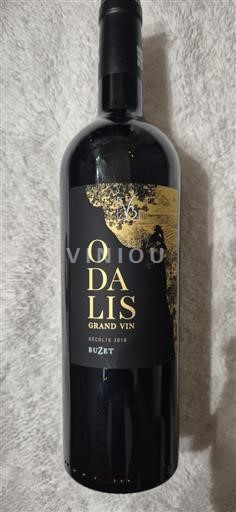 Lounais-Ranska Buzet Odalis Grand Vin 2019
