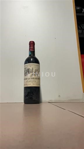 Bordeaux Margaux Château La Tour de Mons 1995
