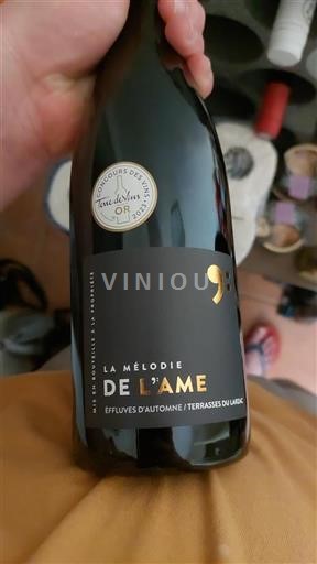 Languedoc Terrasses du Larzac La Mélodie de l'Âme 2019