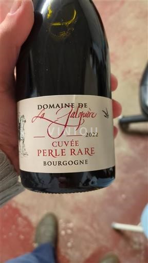 Bourgogne Ikke specificeret Grand Cru Domaine de La Galopière Perle Rare 2022