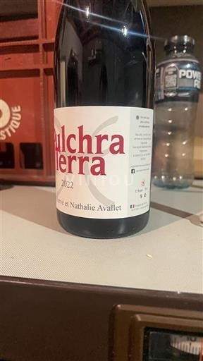 Valle del Rodano Non specificato Pulchra Terra 2022