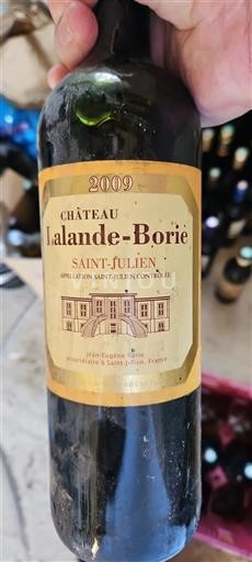 Bordeaux Saint-Julien Château Lalande-Borie 2009