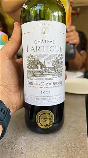 Bordeaux Castillon-côtes-de-bordeaux Château Lartigue 2022
