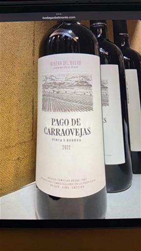 Castile and León Ribera del Duero Pago De Carraovejas 2022
