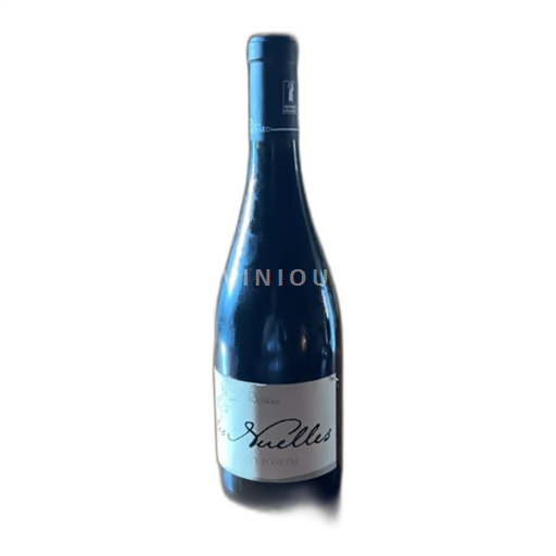 Valle del Rodano Saint-Joseph Domaine Richard Les Nuelles 2019