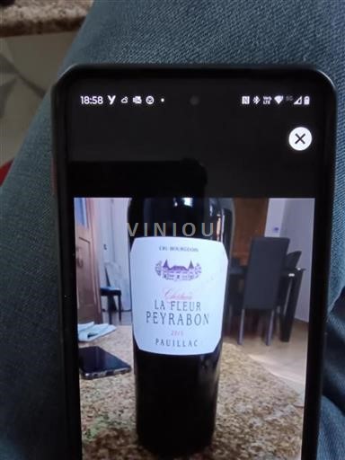 Burdeos Pauillac Château La Fleur Peyrabon 2015